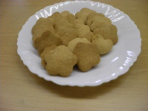 SANYO DIGITAL CAMERA