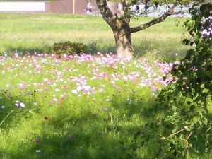 SANYO DIGITAL CAMERA