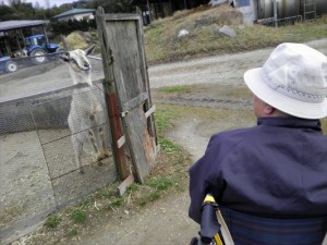 SANYO DIGITAL CAMERA