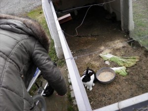 SANYO DIGITAL CAMERA