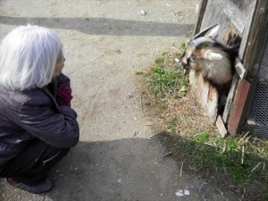 SANYO DIGITAL CAMERA