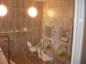 SANYO DIGITAL CAMERA