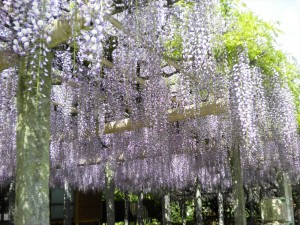 SANYO DIGITAL CAMERA