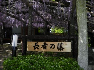 SANYO DIGITAL CAMERA