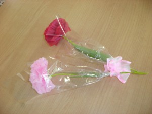 SANYO DIGITAL CAMERA