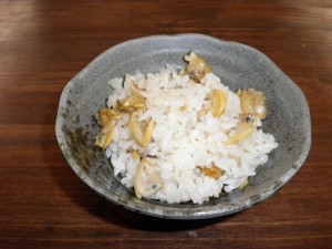 SANYO DIGITAL CAMERA