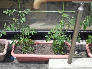 SANYO DIGITAL CAMERA