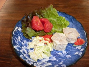 SANYO DIGITAL CAMERA