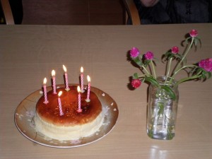 SANYO DIGITAL CAMERA