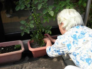 SANYO DIGITAL CAMERA