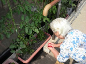 SANYO DIGITAL CAMERA