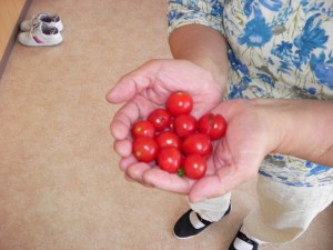 SANYO DIGITAL CAMERA