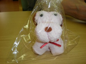 SANYO DIGITAL CAMERA