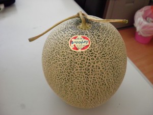 SANYO DIGITAL CAMERA