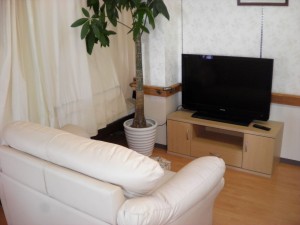 SANYO DIGITAL CAMERA