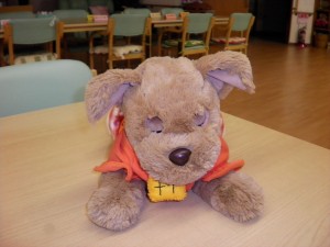 SANYO DIGITAL CAMERA