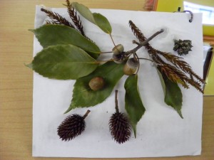 SANYO DIGITAL CAMERA