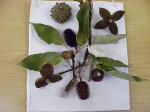 SANYO DIGITAL CAMERA