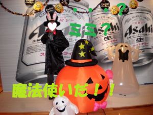 SANYO DIGITAL CAMERA